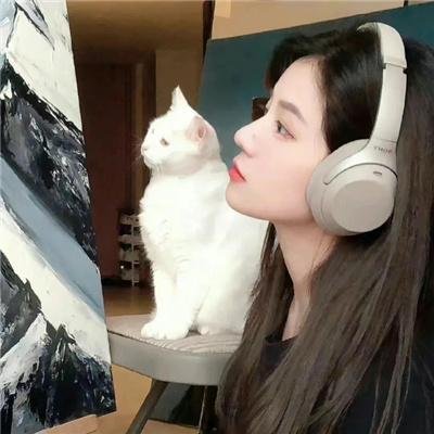 神舞飞扬 在线观看