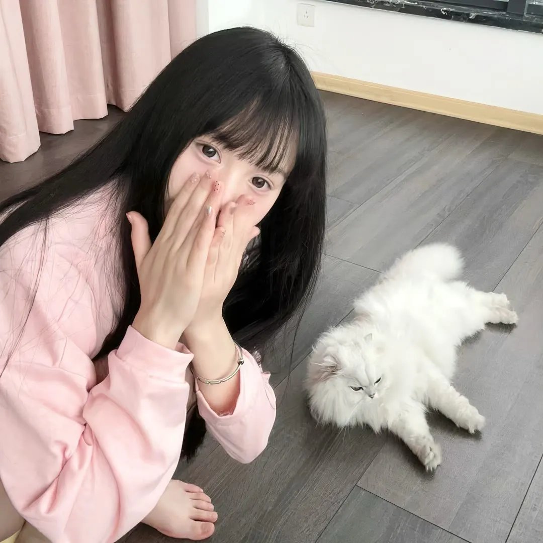 冷案 在线观看